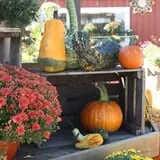 Andersen Farms photo