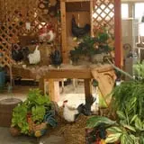 Andersen Farms photo