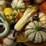 Andersen Farms photo