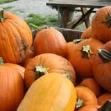 Andersen Farms photo