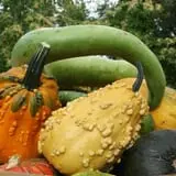 Andersen Farms photo