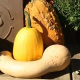 Andersen Farms photo
