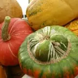 Andersen Farms photo