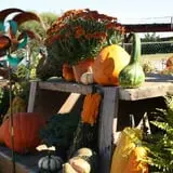 Andersen Farms photo