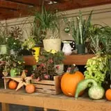 Andersen Farms photo
