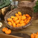 Andersen Farms photo
