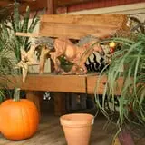 Andersen Farms photo