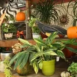 Andersen Farms photo