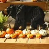 Andersen Farms photo