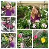 Andersen Farms photo