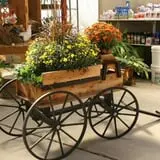 Andersen Farms photo