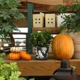 Andersen Farms photo