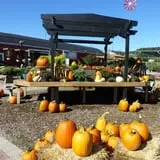 Andersen Farms photo