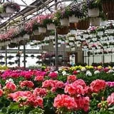 Andersen Farms photo