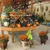 Andersen Farms photo