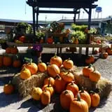 Andersen Farms photo