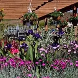 Andersen Farms photo