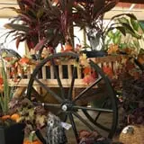 Andersen Farms photo