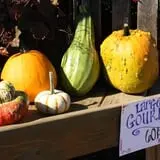 Andersen Farms photo