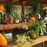 Andersen Farms photo