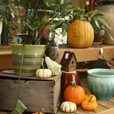 Andersen Farms photo