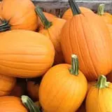 Andersen Farms photo