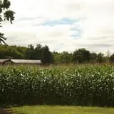 Andersen Farms photo