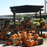 Andersen Farms photo