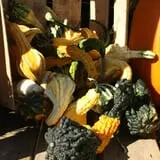 Andersen Farms photo