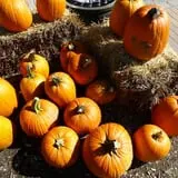 Andersen Farms photo