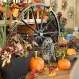 Andersen Farms photo