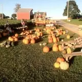 Bullock Farms Corn Maze & Fall Activities photo