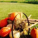 Bullock Farms Corn Maze & Fall Activities photo