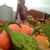 Bullock Farms Corn Maze & Fall Activities photo