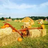 Bullock Farms Corn Maze & Fall Activities photo