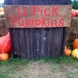 Bullock Farms Corn Maze & Fall Activities photo