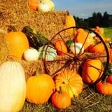 Bullock Farms Corn Maze & Fall Activities photo