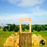 Bullock Farms Corn Maze & Fall Activities photo