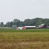 Bullock Farms Corn Maze & Fall Activities photo