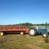 Bullock Farms Corn Maze & Fall Activities photo
