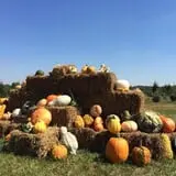 Bullock Farms Corn Maze & Fall Activities photo