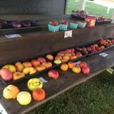 Bullock Farms Corn Maze & Fall Activities photo