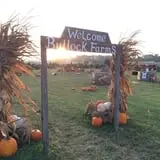 Bullock Farms Corn Maze & Fall Activities photo