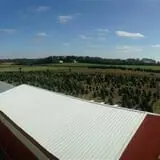 Bullock Farms Corn Maze & Fall Activities photo
