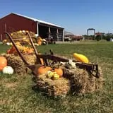 Bullock Farms Corn Maze & Fall Activities photo
