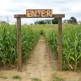 Bullock Farms Corn Maze & Fall Activities photo