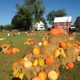 Bullock Farms Corn Maze & Fall Activities photo