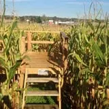 Bullock Farms Corn Maze & Fall Activities photo