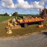 Bullock Farms Corn Maze & Fall Activities photo