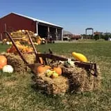 Bullock Farms Corn Maze & Fall Activities photo